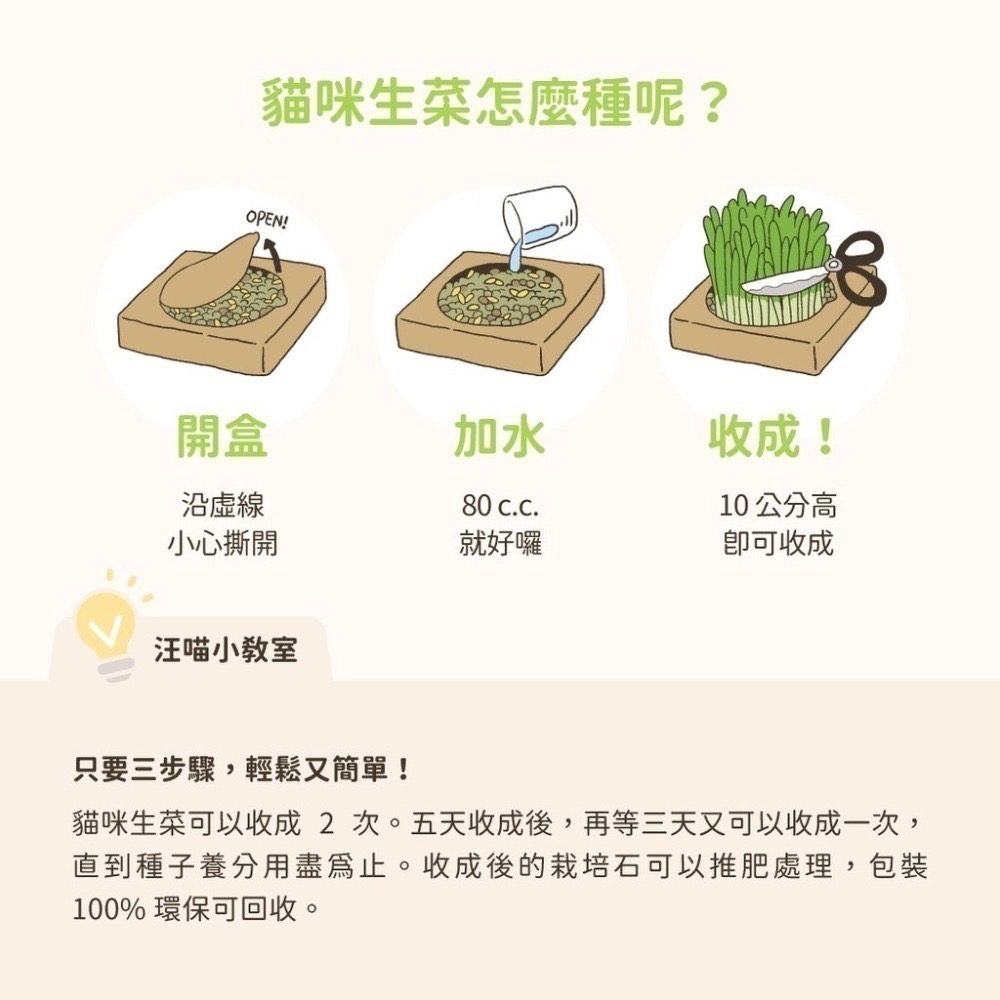 【汪喵星球】汪喵生菜三盒組 汪喵貓草新鮮栽培盒 狗草新鮮栽培盒 汪汪生菜-細節圖6