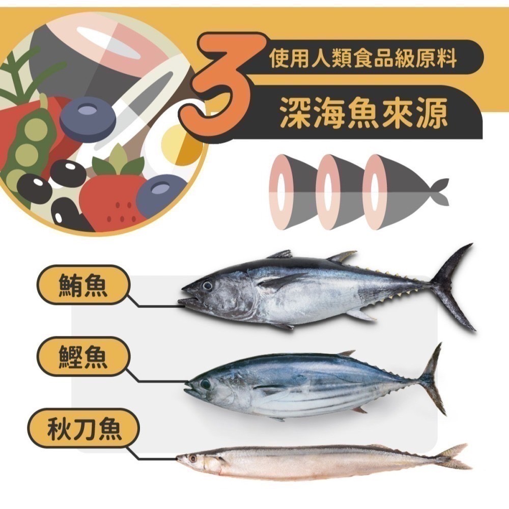 【nu4PET 陪心寵糧】全齡貓 無穀低敏貓糧 海魚野莓 1、2、6公斤 貓飼料 飼料 泌尿保健 貓乾糧 腸道保健-細節圖5