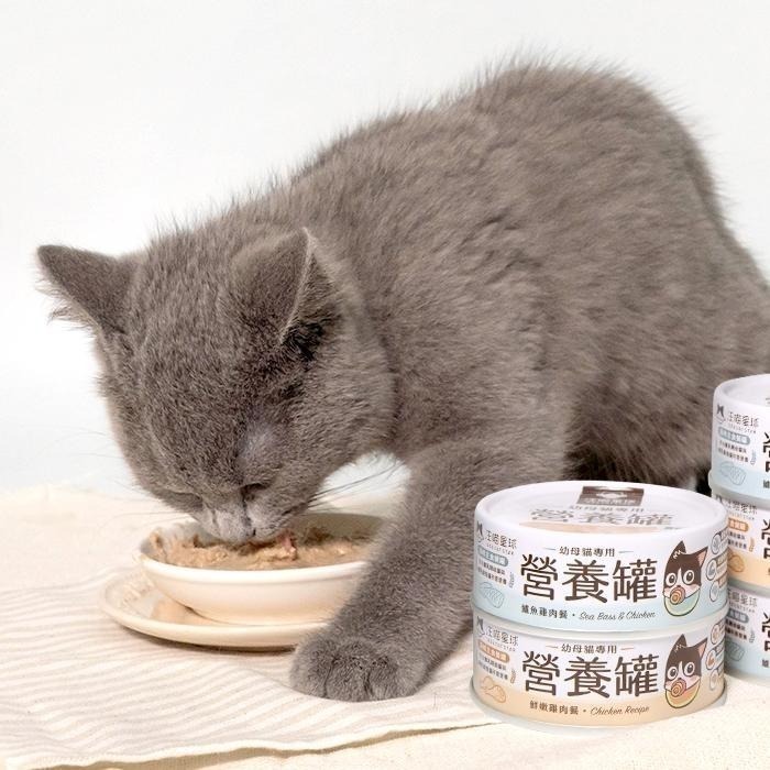 【汪喵星球】營養罐｜幼母貓無膠營養主食罐  幼貓罐 幼貓 貓主食 無膠 貓罐 80g&165g&55g 迷你早餐罐-細節圖5