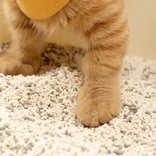 【汪喵星球】 益生菌消臭豆腐砂 原味(米粒型) 7L 貓砂 環保沙 好清潔 不帶沙-細節圖8