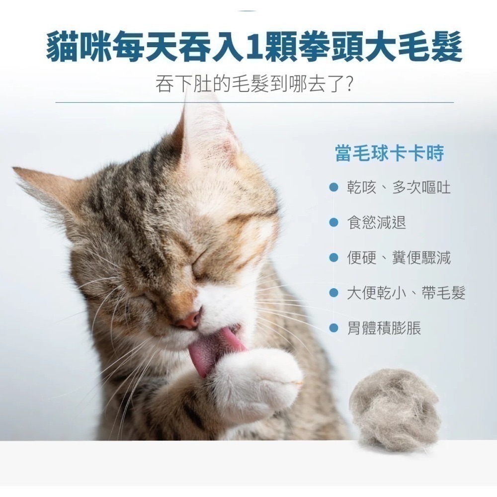 【木入森】排毛粉 貓咪排毛粉/日常排毛保養 溫和排毛守護貓咪腸胃道健康 貓咪化毛粉-細節圖5