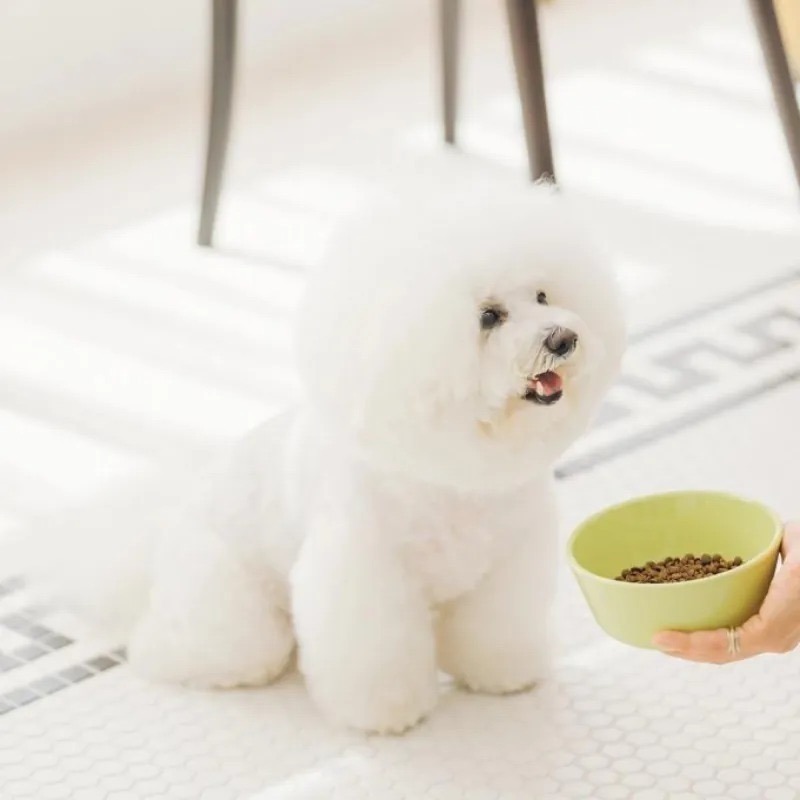 【NATURES 自然本色】迷你顆粒 小型成犬亮白羊肉配方狗糧 犬糧 狗飼料 幼犬 小型犬 改善淚痕 自然本色淚腺-細節圖3