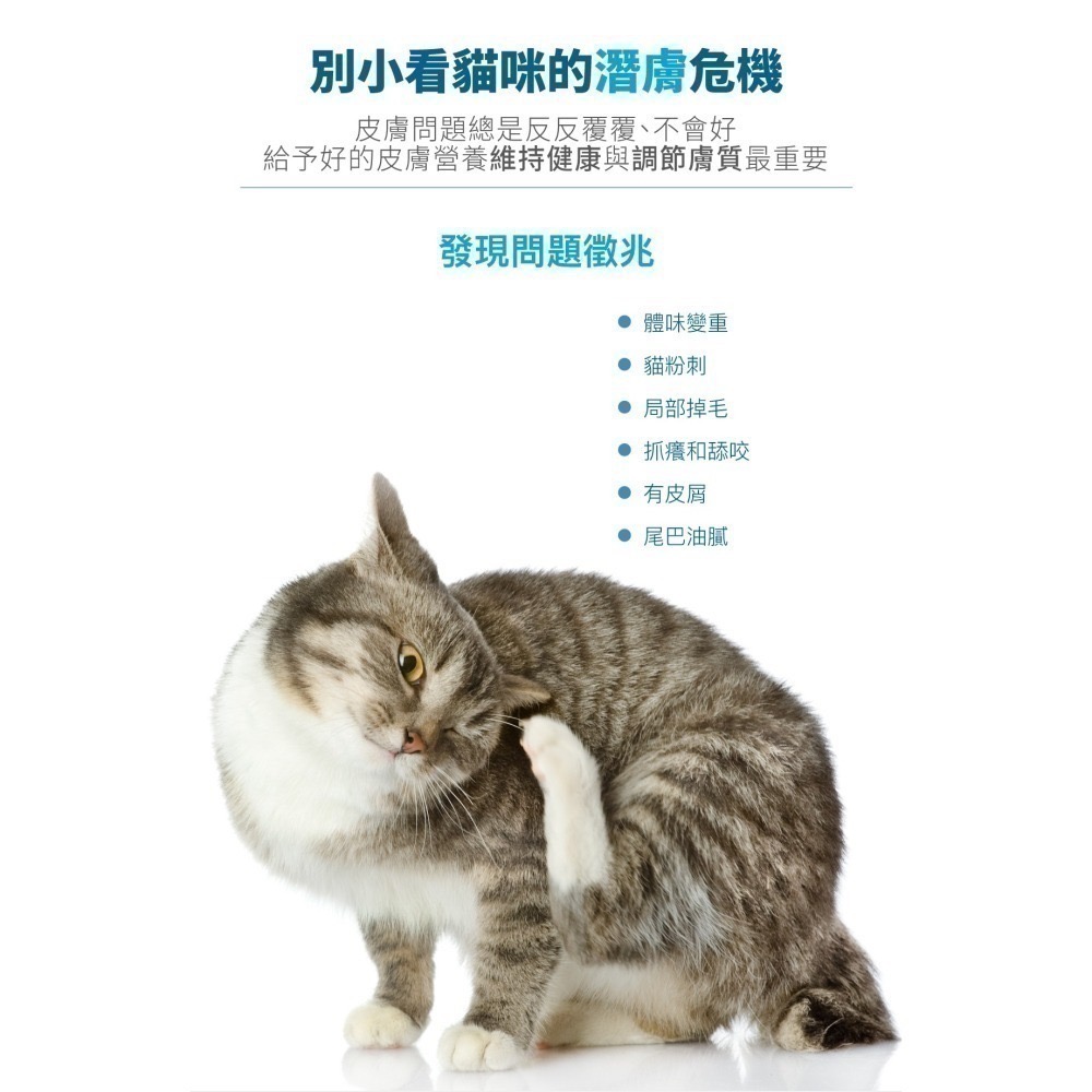木入森 貓咪膚立好 貓咪皮膚保健營養補充 異位性皮膚炎機能營養複方-細節圖3