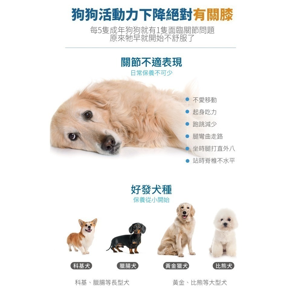 【木入森】 犬寶有關膝 60顆｜狗關節保健 寵物關節保健 胜肽膠原蛋白 玻尿酸 薑黃萃取 肌力配方-細節圖4