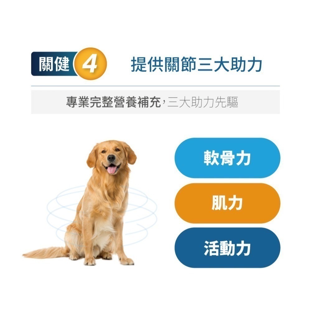 【木入森】 犬寶有關膝 60顆｜狗關節保健 寵物關節保健 胜肽膠原蛋白 玻尿酸 薑黃萃取 肌力配方-細節圖5