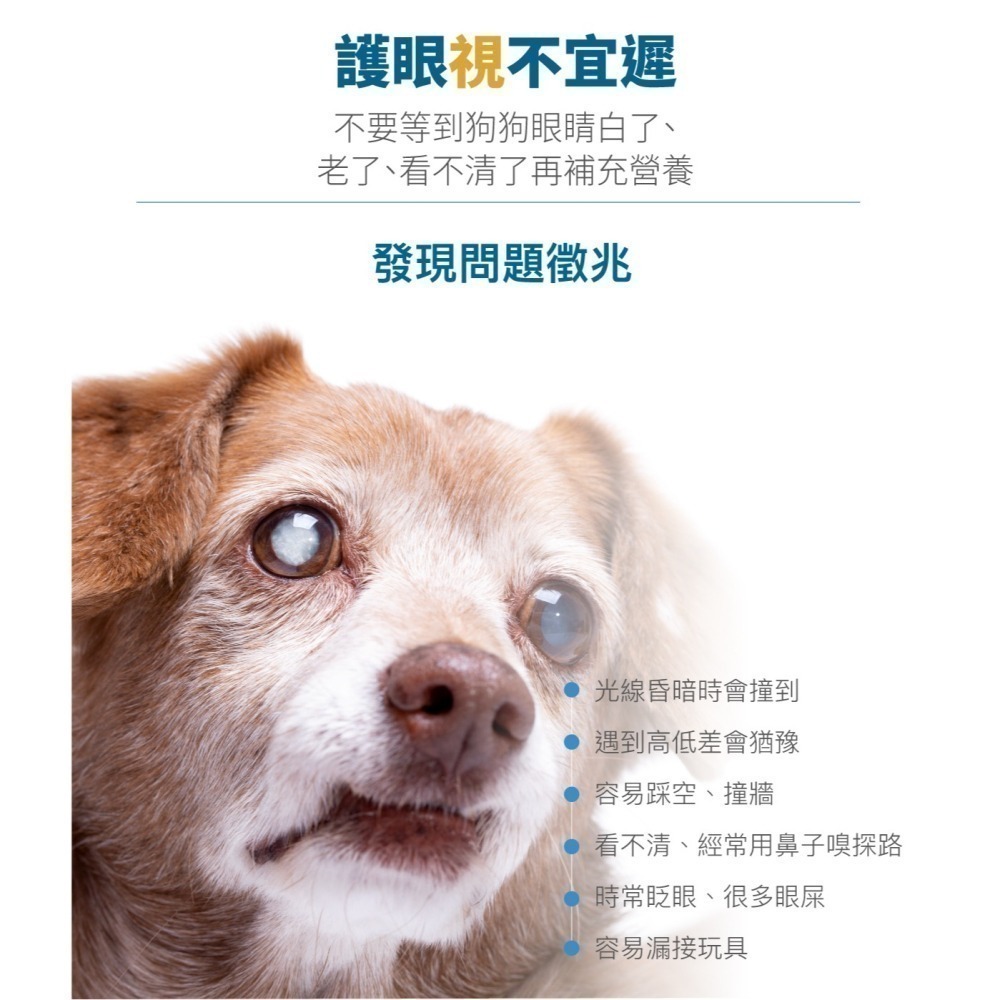 【木入森】犬寶好眼力 60顆｜FloraGLO®游離型葉黃素 游離型玉米黃素 狗狗眼睛保健營養-細節圖4