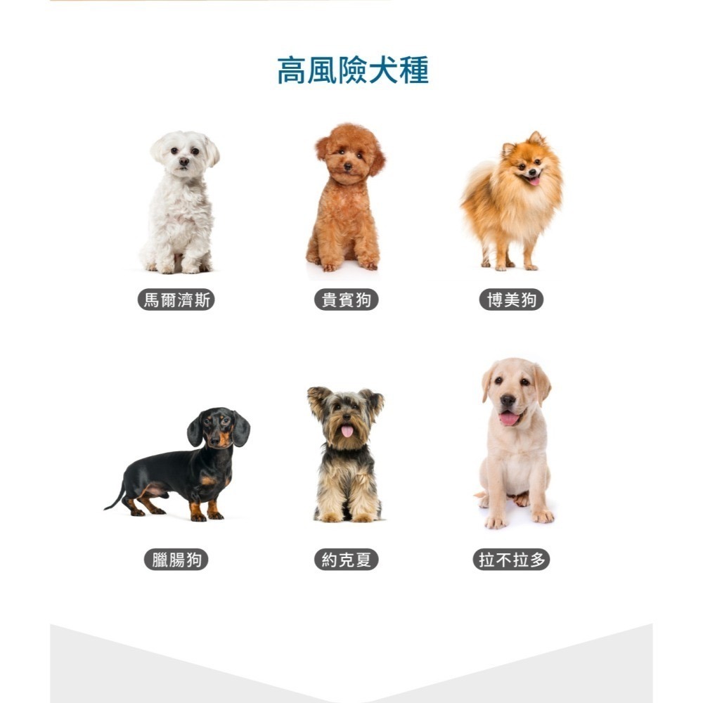 【木入森】犬寶珍心動 60顆｜狗心臟保健 寵物心臟保健 還原型Q10 狗Q10 寵物Q10-細節圖5