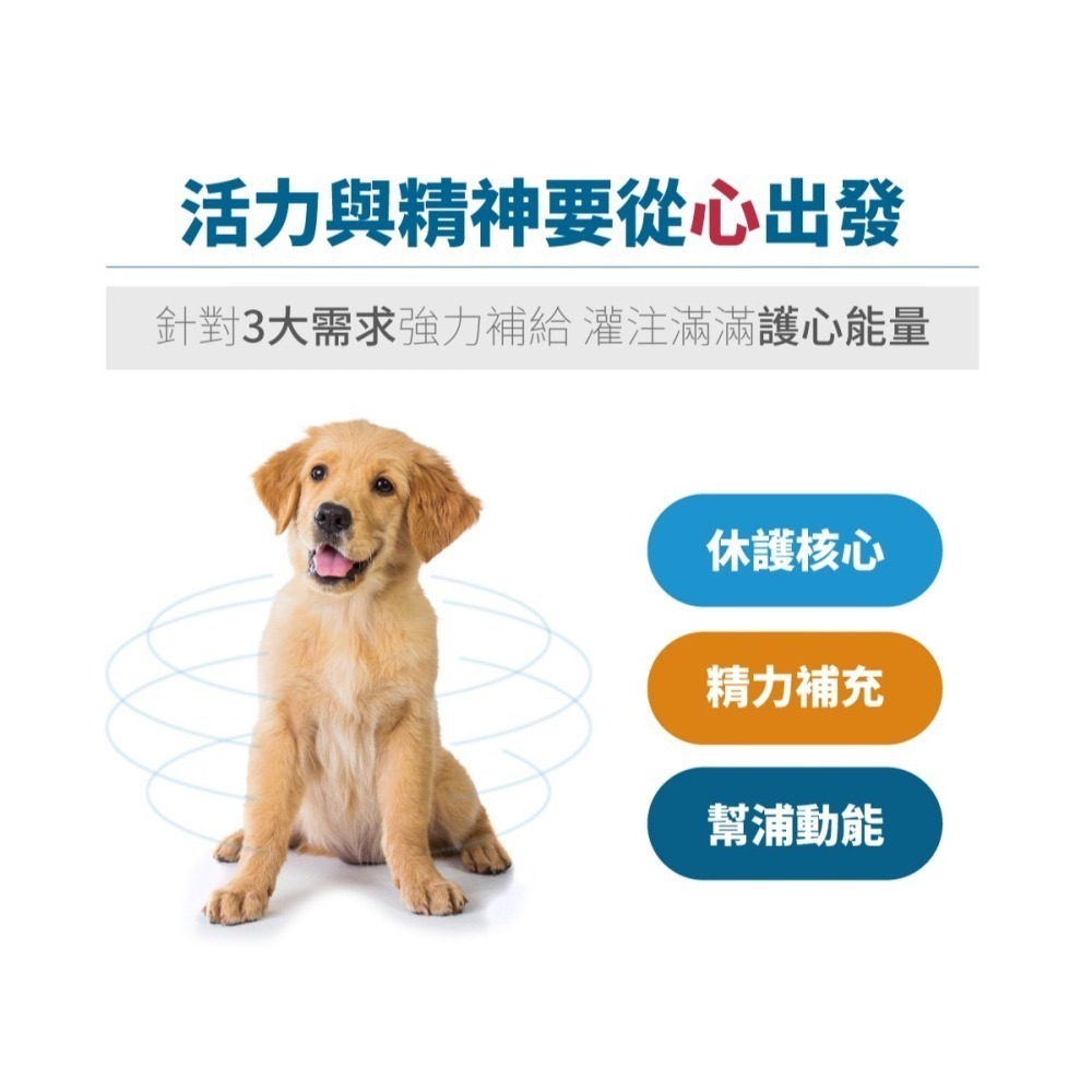 【木入森】犬寶珍心動 60顆｜狗心臟保健 寵物心臟保健 還原型Q10 狗Q10 寵物Q10-細節圖7