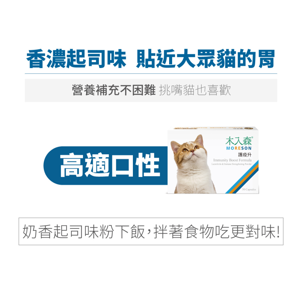 【木入森】貓咪護疫升 60顆 貓咪離胺酸 乳鐵蛋白 葡聚糖 牛磺酸 蝦紅素 紫錐花萃取 調節貓咪免疫力-細節圖4