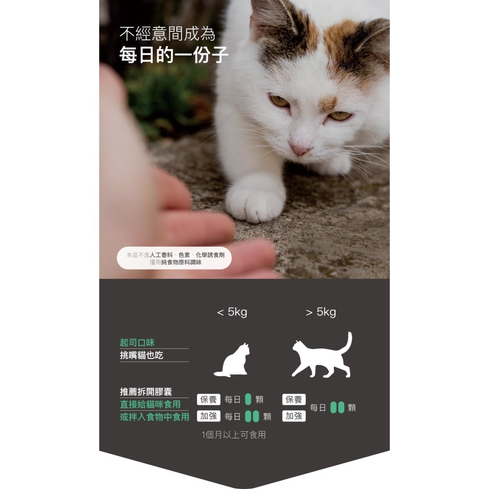 【木入森】貓咪護疫升 60顆 貓咪離胺酸 乳鐵蛋白 葡聚糖 牛磺酸 蝦紅素 紫錐花萃取 調節貓咪免疫力-細節圖9