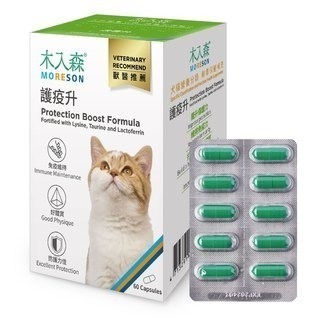 【木入森】貓咪護疫升 60顆 貓咪離胺酸 乳鐵蛋白 葡聚糖 牛磺酸 蝦紅素 紫錐花萃取 調節貓咪免疫力-細節圖3