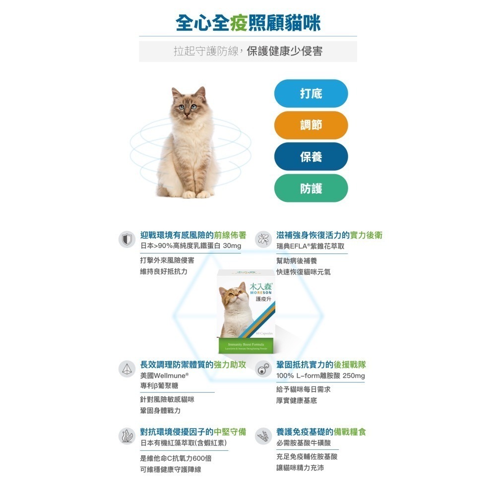 【木入森】貓咪護疫升 60顆 貓咪離胺酸 乳鐵蛋白 葡聚糖 牛磺酸 蝦紅素 紫錐花萃取 調節貓咪免疫力-細節圖7
