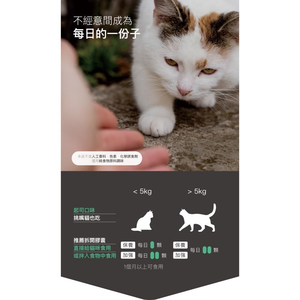 【木入森】貓咪護疫升 60顆 貓咪離胺酸 乳鐵蛋白 葡聚糖 牛磺酸 蝦紅素 紫錐花萃取 調節貓咪免疫力-細節圖9