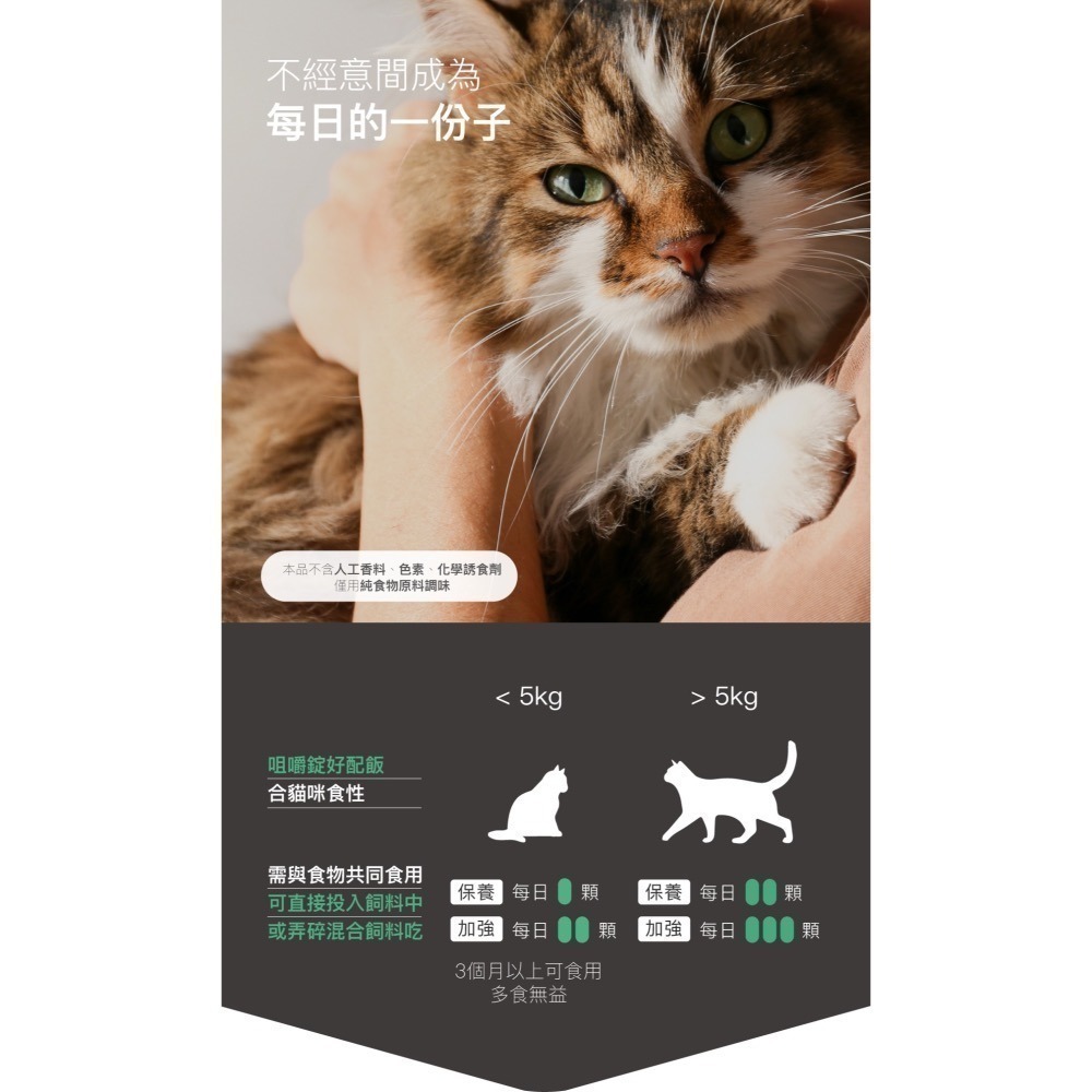 【木入森】貓咪保腎利 30顆｜貓咪腎臟保健營養補充 平日補充 低磷 補充所需營養-細節圖8
