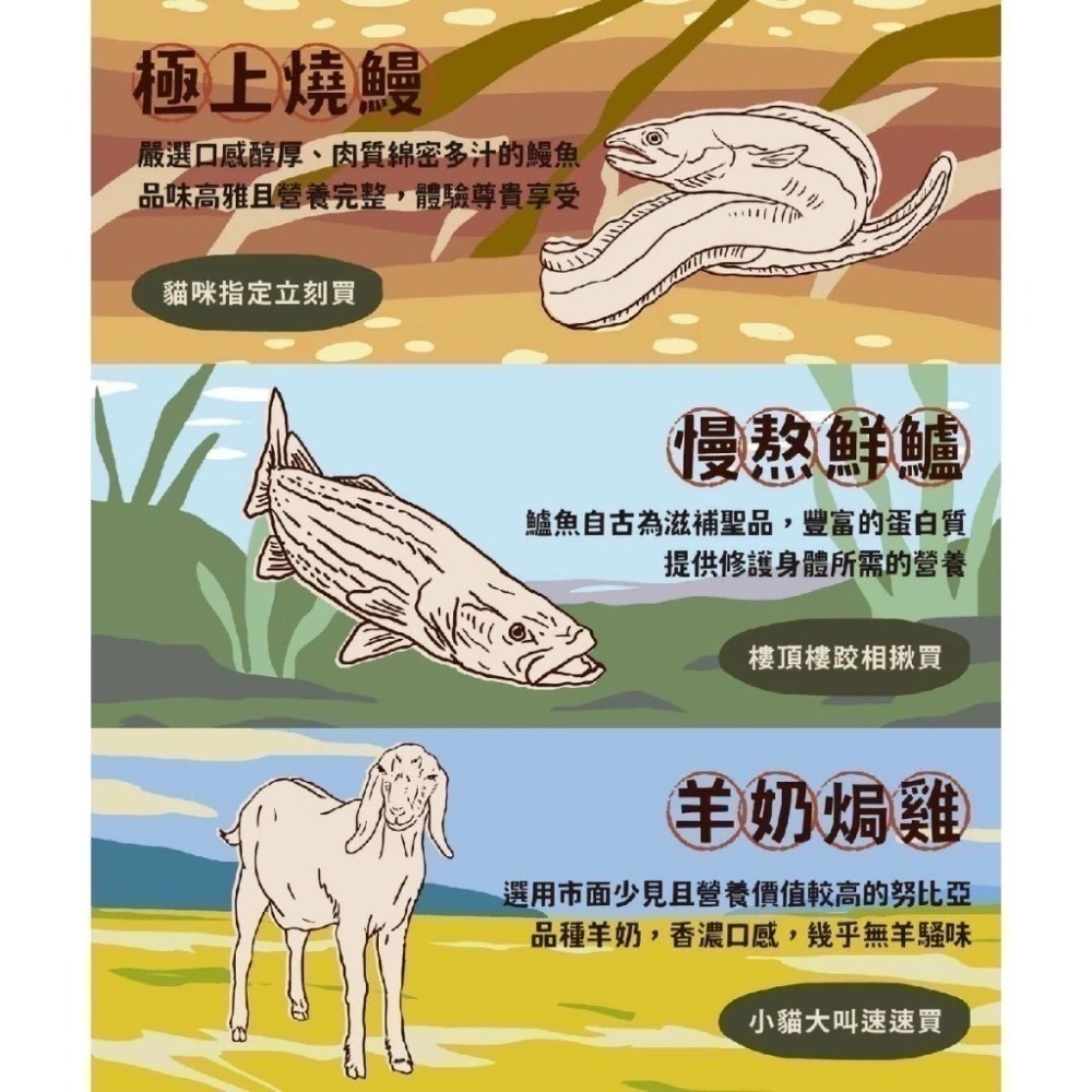 乖乖吃飯 貓主食餐包 100g 超肉感主食餐包 鮮食包 貓主食 貓餐包 貓鮮食 貓零食 貓咪零食 貓主食罐 貓濕食-細節圖3
