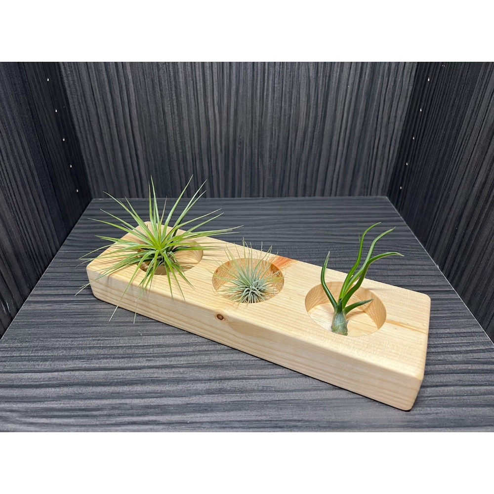 「台灣製造」｛植屋｝-療癒小物植栽盒-細節圖3