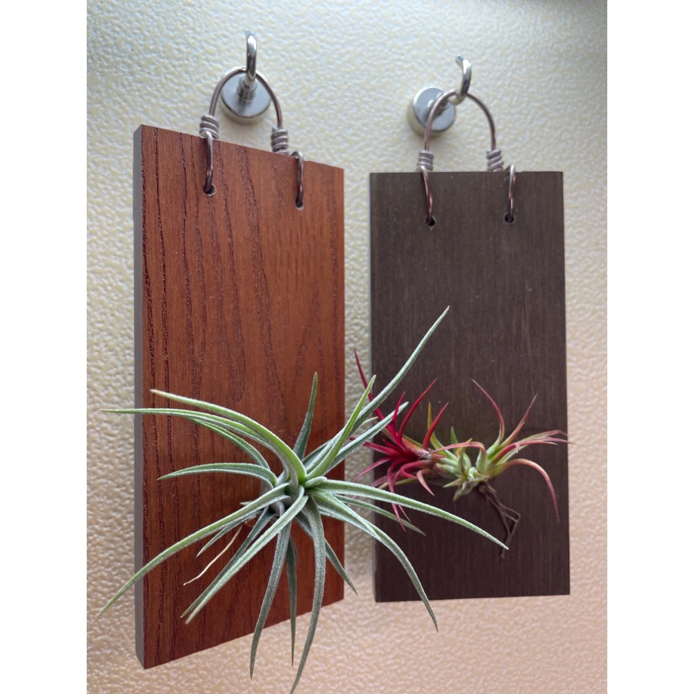 ｛植屋｝一板一鳳-植生板（不含植株）-細節圖4