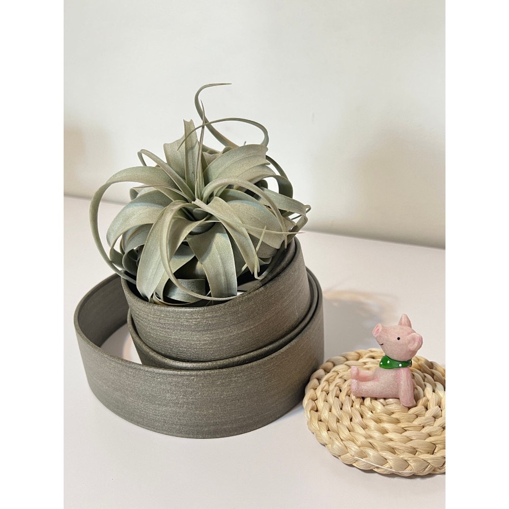 空氣鳳梨禮盒（霸王+手工座）-細節圖2