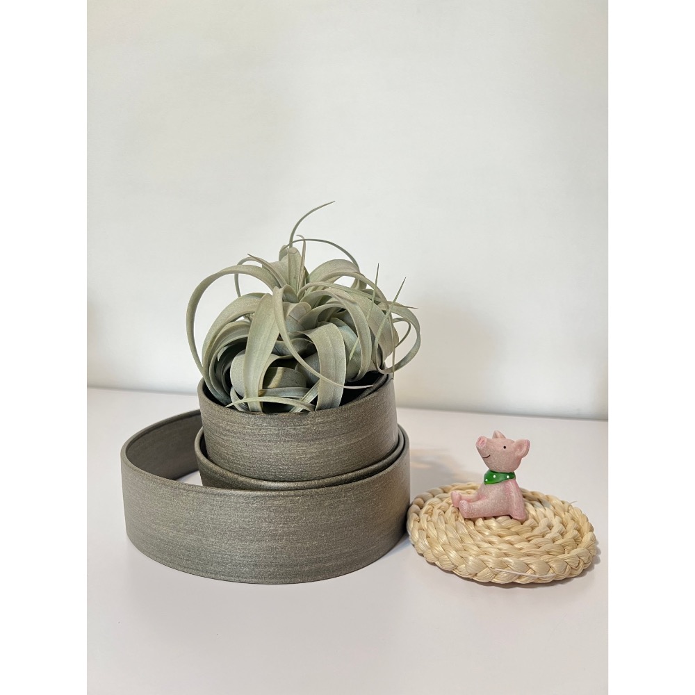 空氣鳳梨禮盒（霸王+手工座）-細節圖3