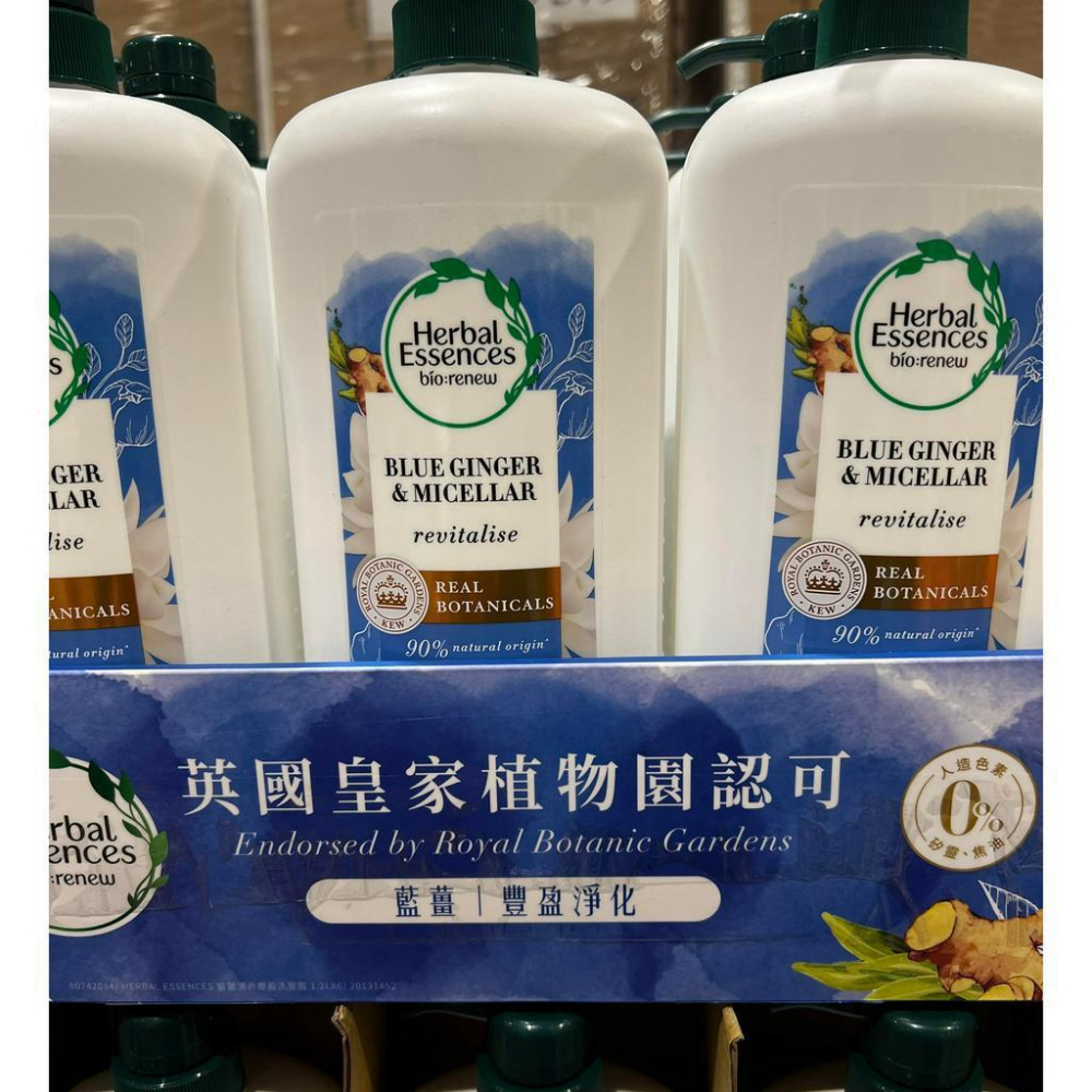 costco 好市多 藍薑 草本 豐盈清香洗髮露 1.2公升-細節圖2