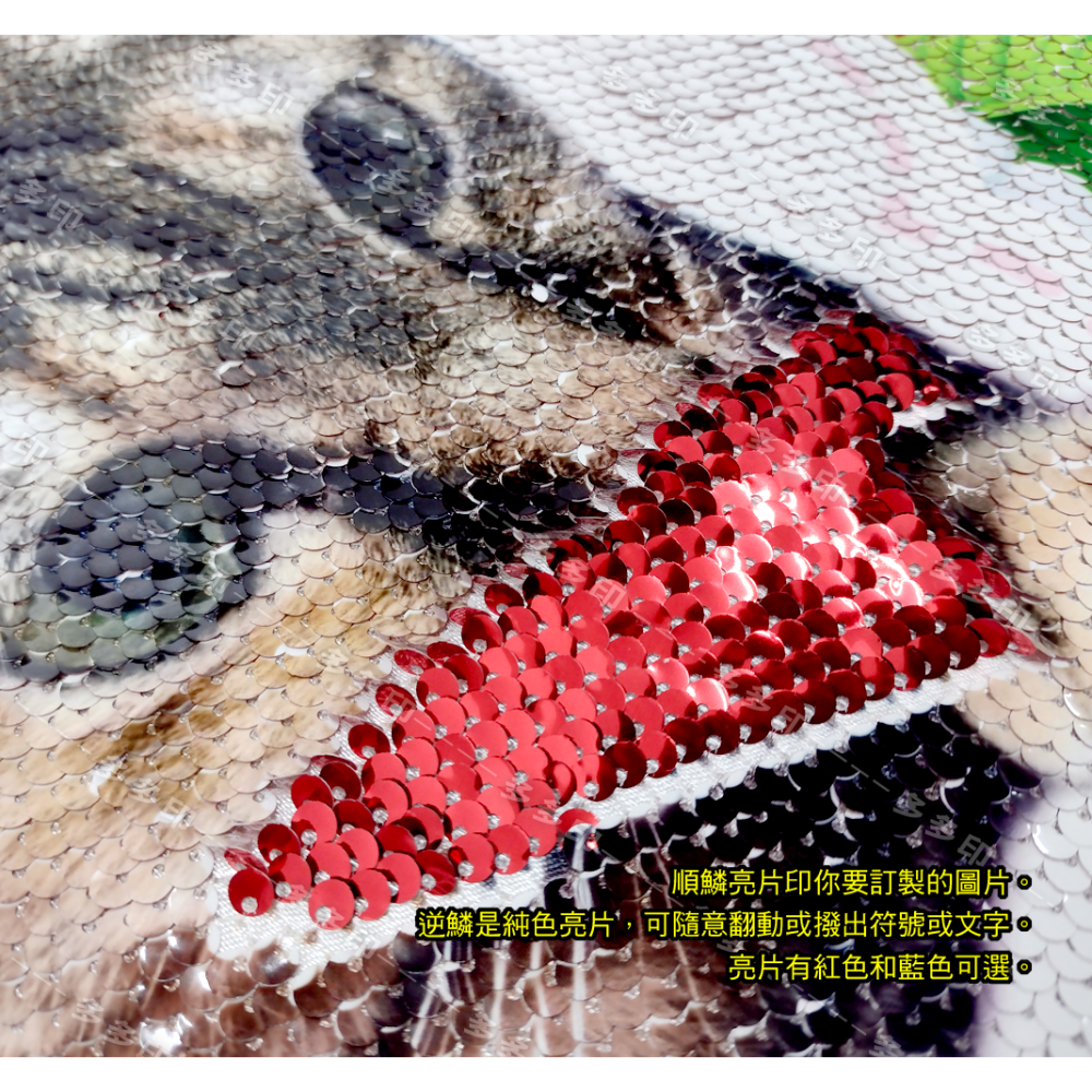 多多印 客製化 亮片抱枕 微醺夜店風抱枕 來圖訂製 抱枕 訂做 枕頭 雙面可印不同圖 情侶寵物照片 公司團體紀念品 訂做-細節圖7