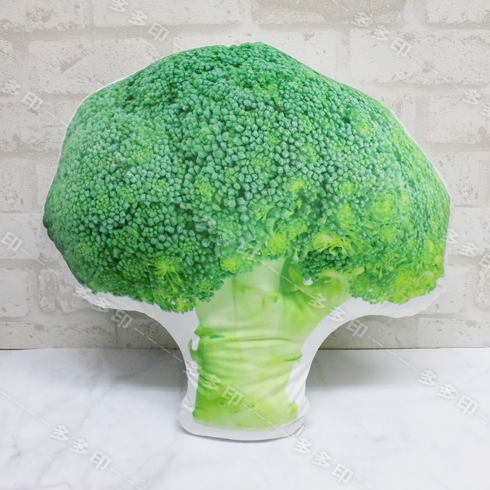 多多印 客製化 造型抱枕 造型枕 立體寵物抱枕 訂製 擬真抱枕 仿真抱枕 造形抱枕 來圖訂做 寵物小孩 紀念日 禮物贈品-細節圖3