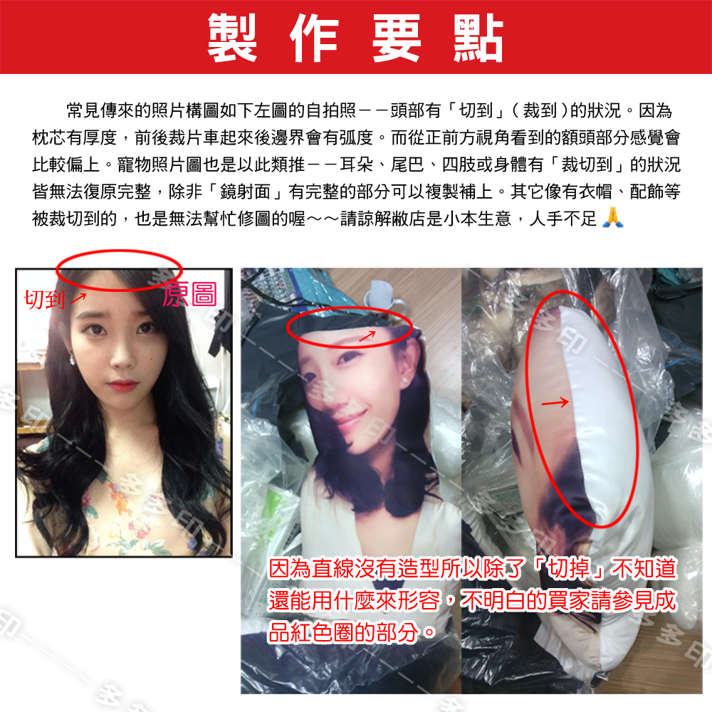 多多印 客製化 造型抱枕 造型枕 立體寵物抱枕 訂製 擬真抱枕 仿真抱枕 造形抱枕 來圖訂做 寵物小孩 紀念日 禮物贈品-細節圖11