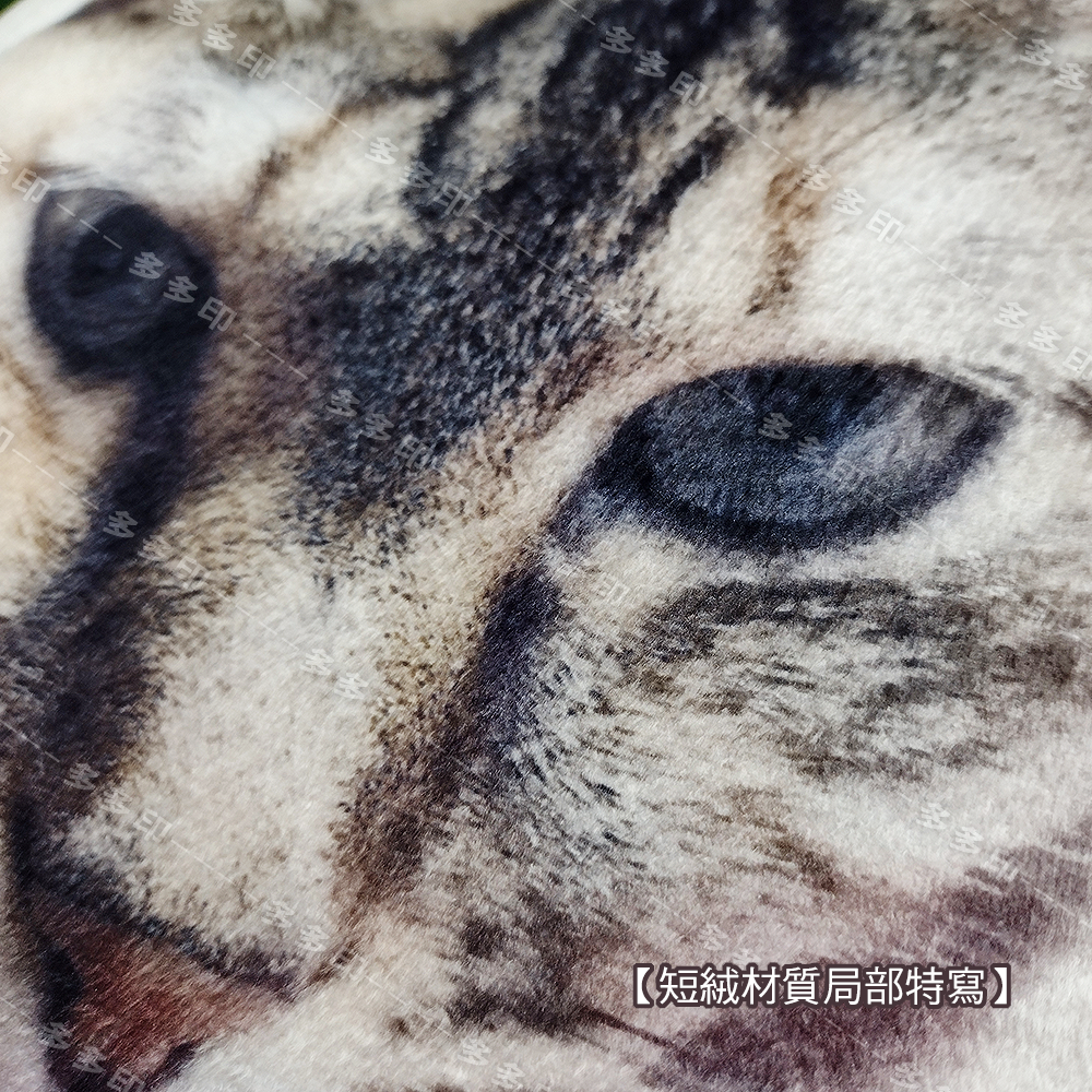 多多印 客製化兩用短毛絨棉麻抱枕毛毯 空調辦公 來圖訂做  抱枕毛毯汽車毯多功能抱枕 寵物被 明星周邊生日畢業禮物-細節圖7
