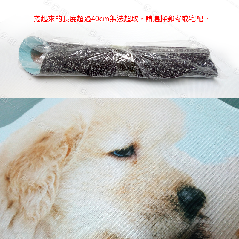多多印 客製化 造型地墊 造形 腳踏墊 訂做 室內外踏墊 踩腳墊 浴室墊 地毯 公司團體禮贈品紀念宣傳品動漫周邊 訂製-細節圖9