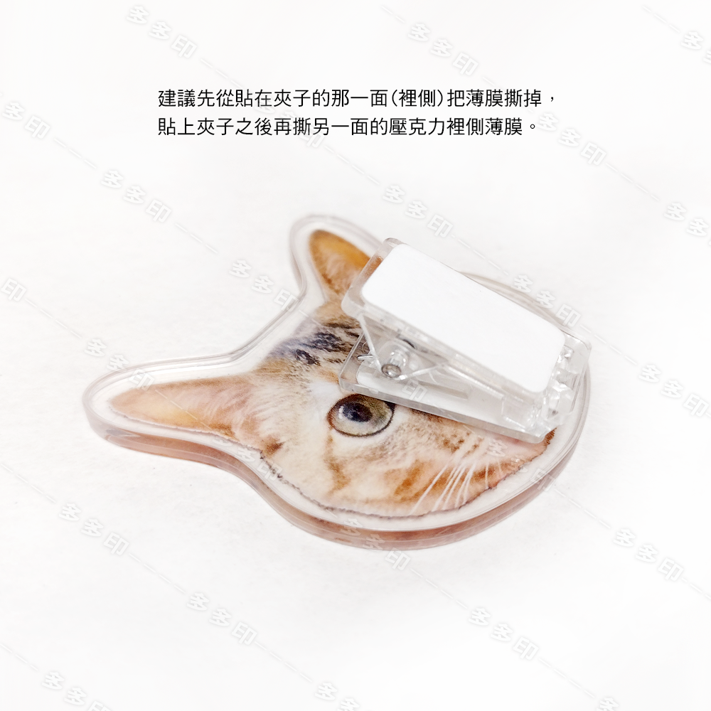 多多印 客製化 壓克力PP夾 訂製 雙層 PP夾 文件夾 手賬夾 資料夾 訂做 寵物 夾子 文具 動漫偶像應援周邊紀念品-細節圖5
