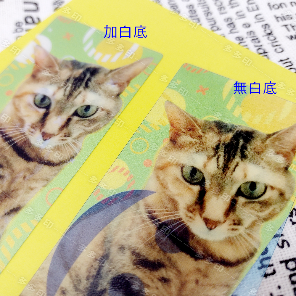多多印 客製化 PVC防水書籤 8張一組 個性化書簽 訂製書籤 客製化偶像明星周邊 工商社團動漫直播主 宣傳周邊商品訂做-細節圖2