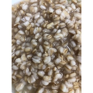 即食 蜜糖燕麥粒 罐頭  3.1公斤/罐 台灣製-細節圖2