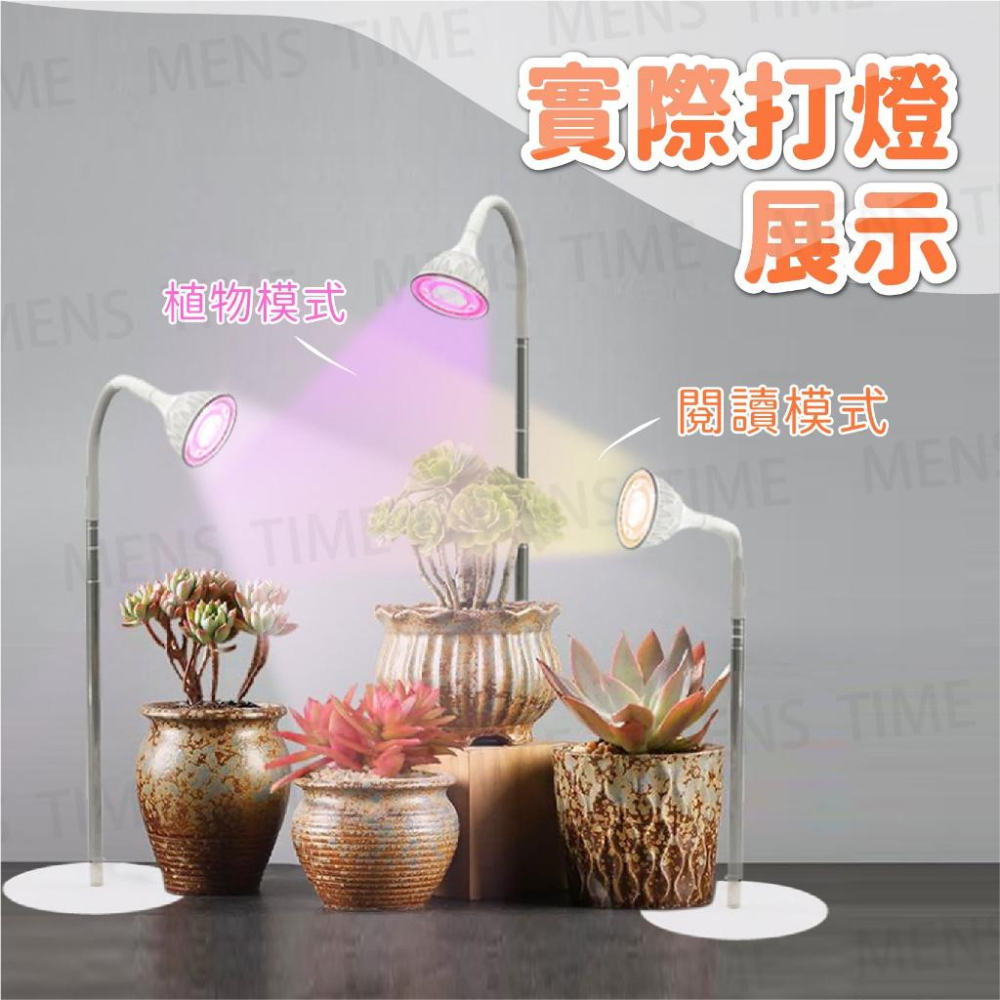 【台灣現貨⚜️定時開關 仿太陽全光譜】全光譜植物燈 植物燈 植物生長燈 led 植物燈 遙控款 植物燈全光譜 多肉植物燈-細節圖9