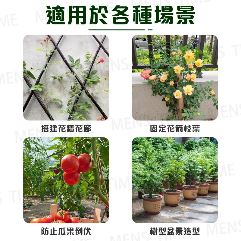 【台灣現貨⚜️自帶切割器 園藝扎帶】魔帶 鐵絲 花藝鐵絲 電線收納 鐵絲線 包塑鐵絲 扎帶 魔帶 鐵絲 鐵絲束帶 園藝-細節圖6