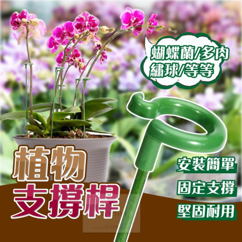 【台灣現貨⚜️10入 開立發票】植物支撐桿 植物支架 園藝工具 爬藤支架 植物支撐 植物支撐架 園藝支架 盆栽支架