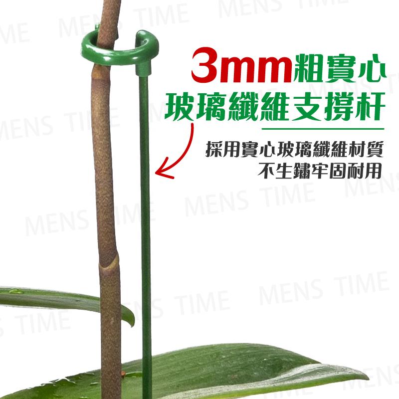 【台灣現貨⚜️10入 開立發票】植物支撐桿 植物支架 園藝工具 爬藤支架 植物支撐 植物支撐架 園藝支架 盆栽支架-細節圖2