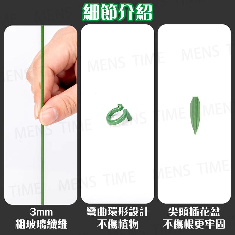 【台灣現貨⚜️10入 開立發票】植物支撐桿 植物支架 園藝工具 爬藤支架 植物支撐 植物支撐架 園藝支架 盆栽支架-細節圖3