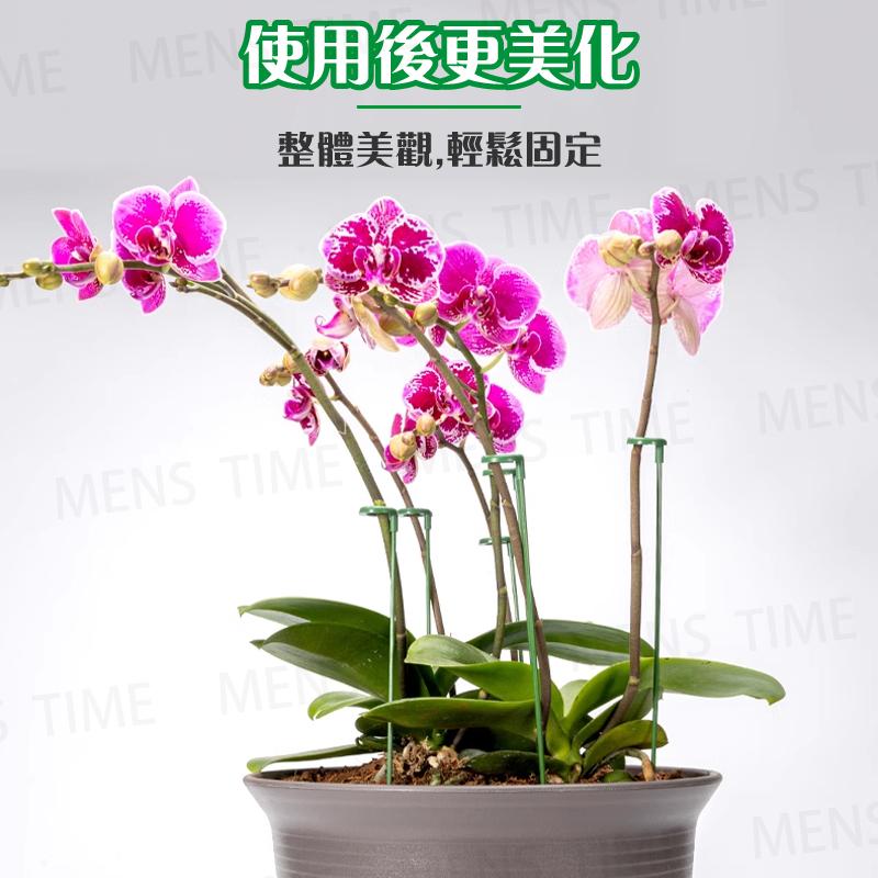 【台灣現貨⚜️10入 開立發票】植物支撐桿 植物支架 園藝工具 爬藤支架 植物支撐 植物支撐架 園藝支架 盆栽支架-細節圖4