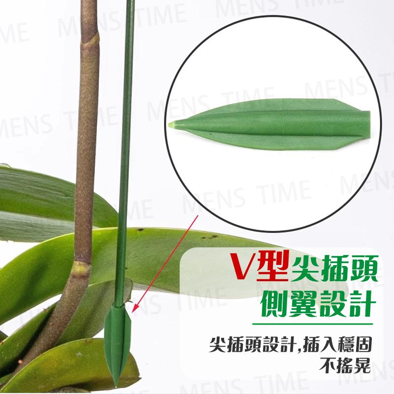 【台灣現貨⚜️10入 開立發票】植物支撐桿 植物支架 園藝工具 爬藤支架 植物支撐 植物支撐架 園藝支架 盆栽支架-細節圖5