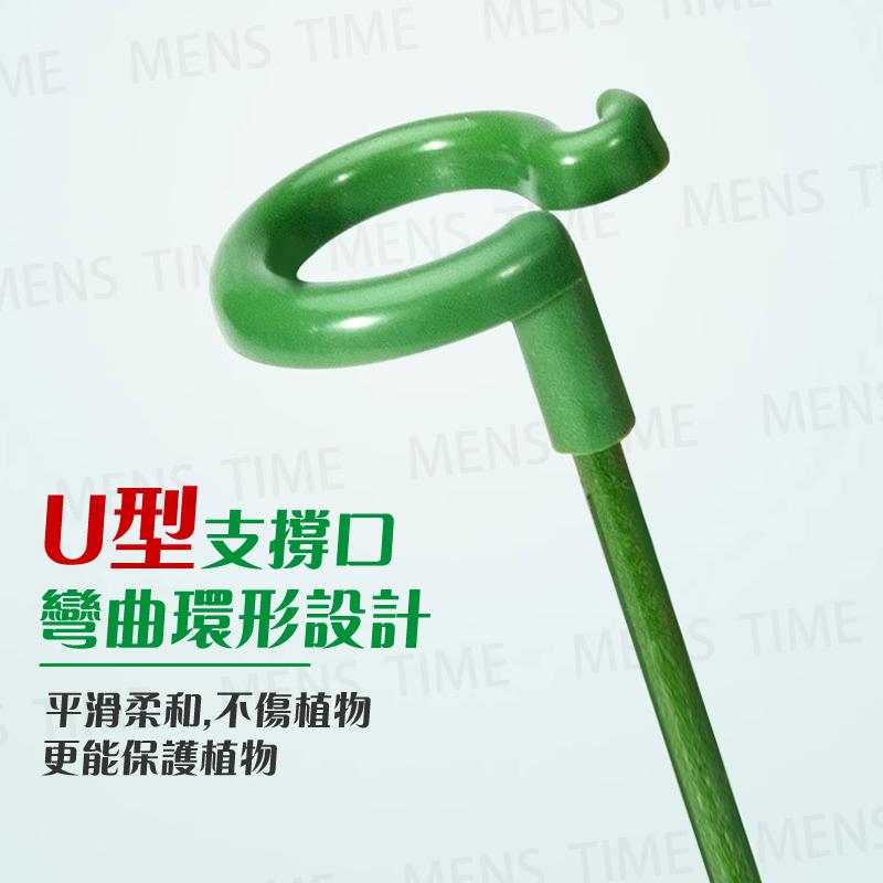 【台灣現貨⚜️10入 開立發票】植物支撐桿 植物支架 園藝工具 爬藤支架 植物支撐 植物支撐架 園藝支架 盆栽支架-細節圖6