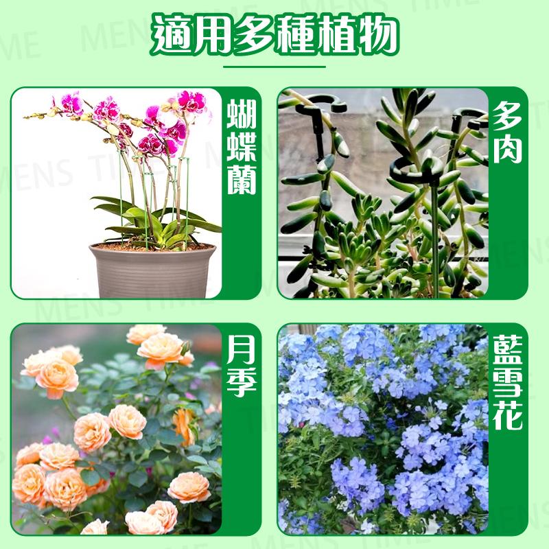 【台灣現貨⚜️10入 開立發票】植物支撐桿 植物支架 園藝工具 爬藤支架 植物支撐 植物支撐架 園藝支架 盆栽支架-細節圖9