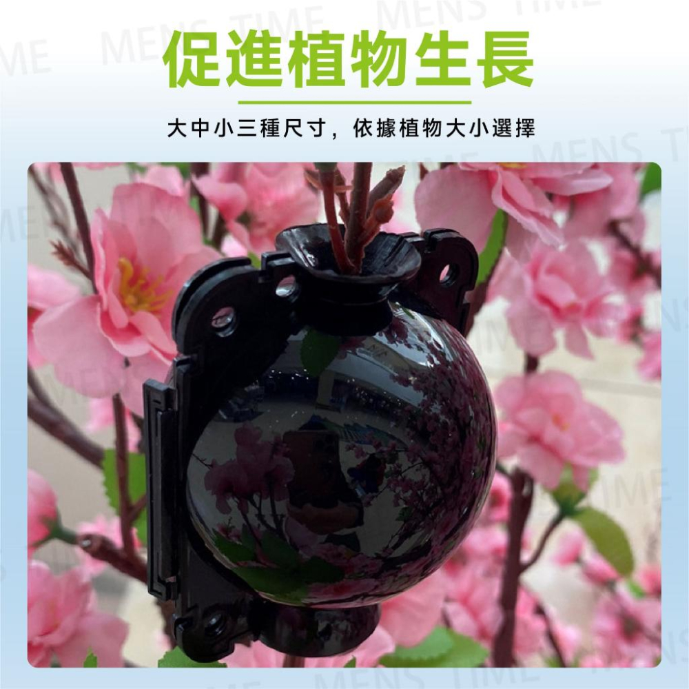 【台灣現貨⚜️密封性強 使用壽命長】高壓球 園藝 扦插 高壓繁殖 高壓盒 高壓繁殖球 生根器 高壓生根盒 嫁接球 繁殖-細節圖8