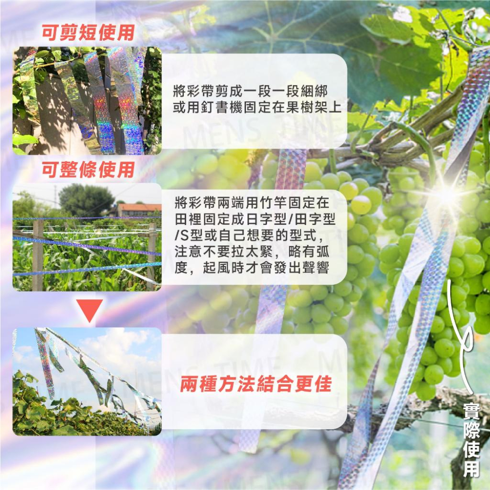 【台灣現貨⚜️有效驅鳥 自由裁剪】驅鳥神器 園藝 驅鳥 驅鳥彩帶 驅鳥器 防鳥 趕鳥神器 防鳥神器 園藝工具 趕鳥-細節圖6