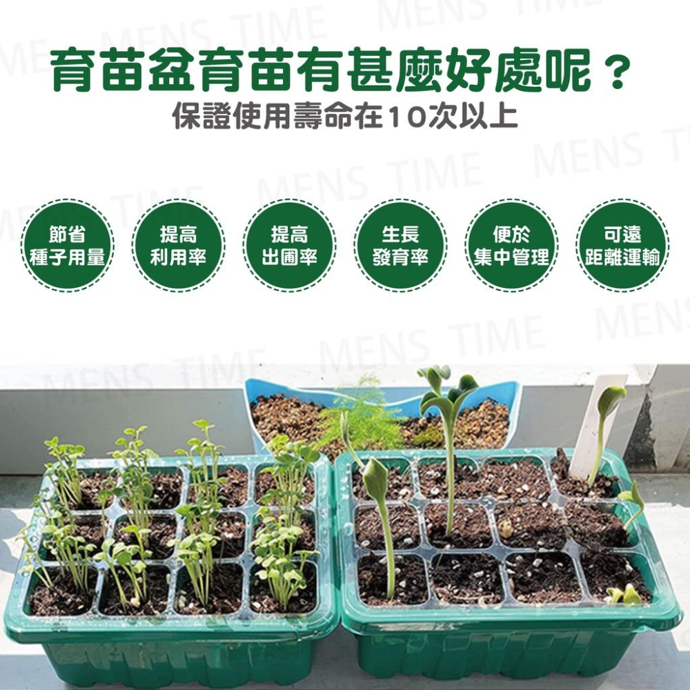 【台灣現貨⚜️有生長燈的育苗盆！】育苗盆 植物燈 植物生長燈 育苗盤 led植物燈 育苗盒 12孔 仿太陽光譜 花盆-細節圖7