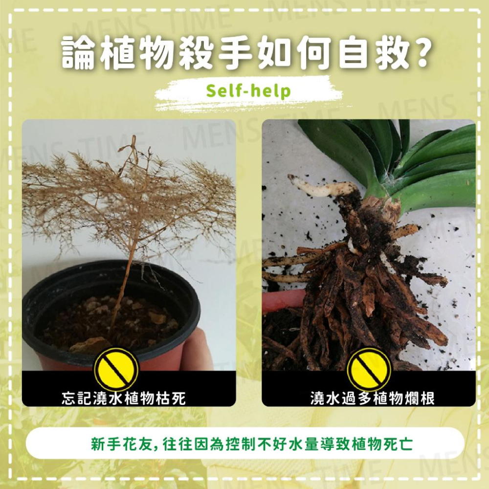 【台灣現貨⚜️自吸水不須澆水 北歐色系】懶人花盆 花盆 水培花盆 大號 水耕盆栽 懶人盆栽 水培 多肉花盆 園藝 小花盆-細節圖8