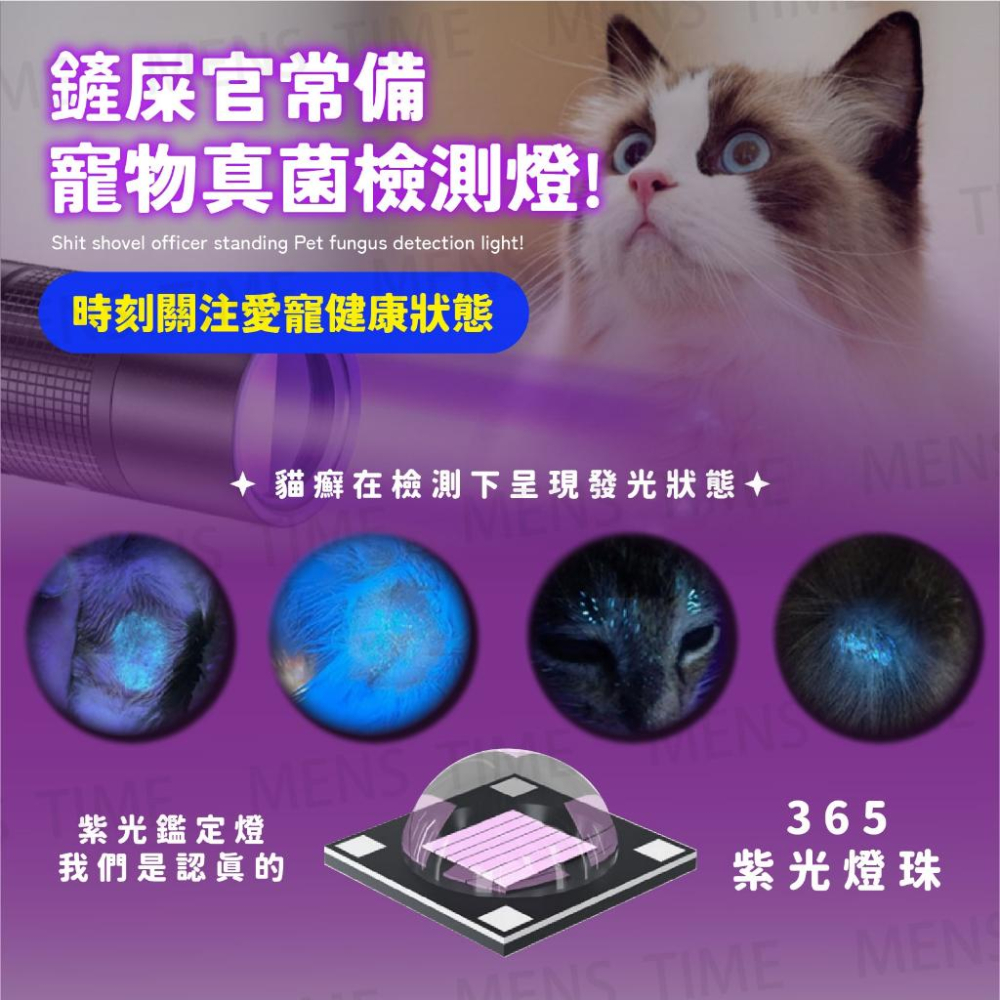 【台灣現貨⚜️驗鈔貓蘚檢測 20W高配充電款】伍德氏燈 紫外線燈  365nm 紫外線手電筒 20W 驗鈔燈 UV手電筒-細節圖6