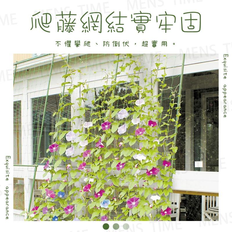 【台灣現貨⚜️27股高強尼龍 多款尺寸】爬藤網 絲瓜網 園藝網 攀爬網 植物爬藤網 番茄網 攀藤網 植物攀爬網 苦瓜網-細節圖2