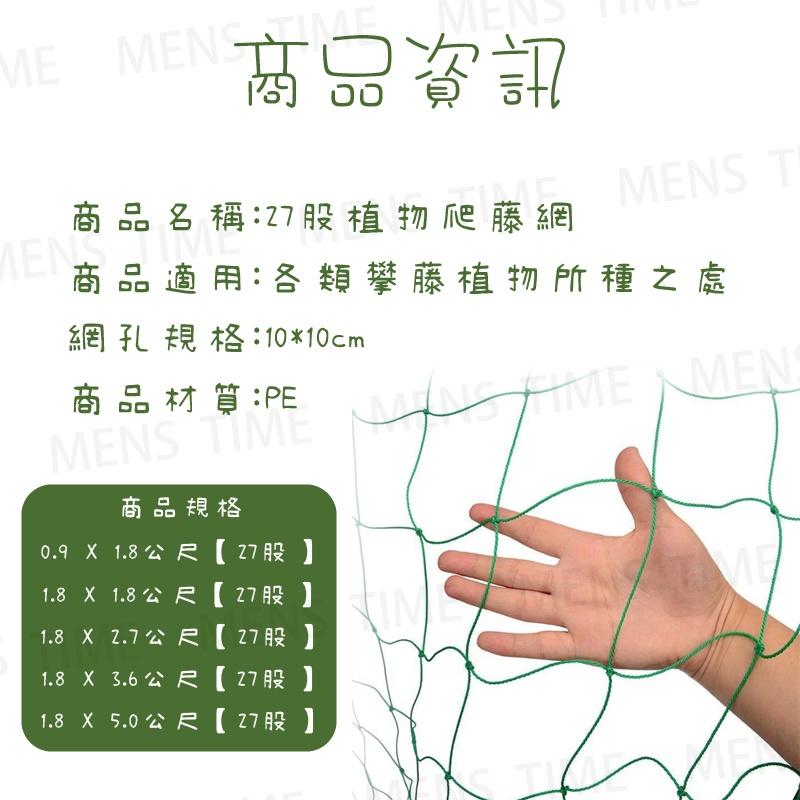 【台灣現貨⚜️27股高強尼龍 多款尺寸】爬藤網 絲瓜網 園藝網 攀爬網 植物爬藤網 番茄網 攀藤網 植物攀爬網 苦瓜網-細節圖6