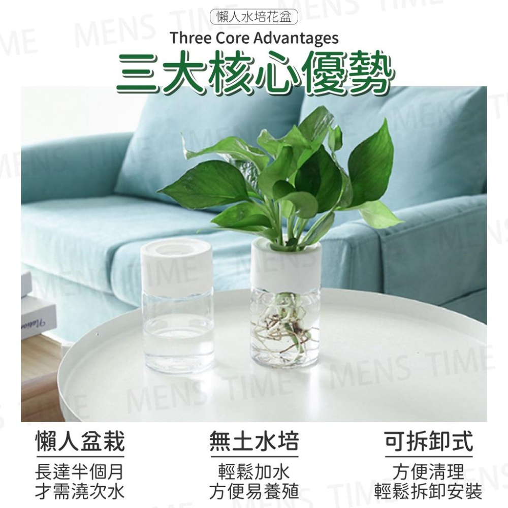 【台灣現貨⚜️半個月不用澆水】水培花盆 水耕盆栽 懶人盆栽 懶人花盆 水耕花器 水培 多肉花盆 水耕-細節圖2