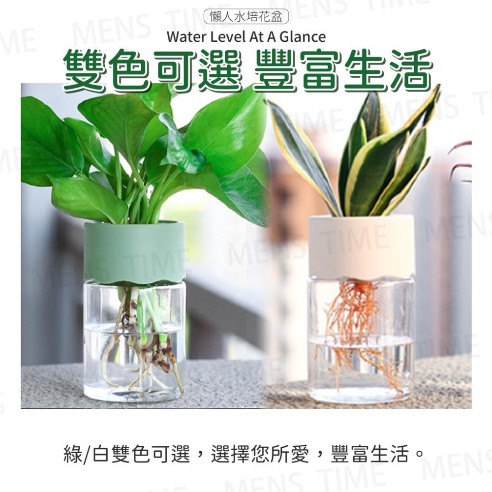 【台灣現貨⚜️半個月不用澆水】水培花盆 水耕盆栽 懶人盆栽 懶人花盆 水耕花器 水培 多肉花盆 水耕-細節圖7